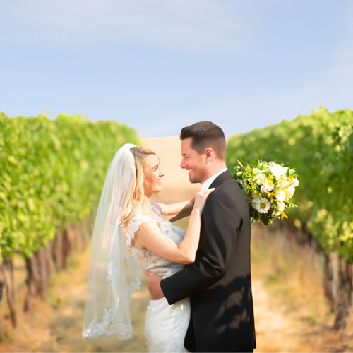 bride & groom in the vinyard