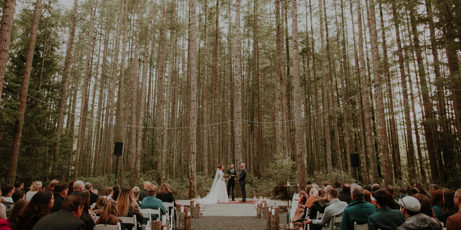 wedding in the woods